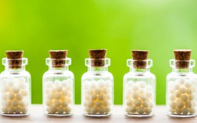 Die Ausbildung in Homöopathie für Tiere – Fachausbildung