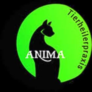 ANIMA Tierheilerpraxis – die mobile Katzen-Praxis