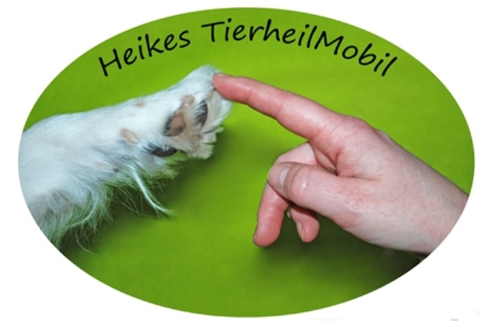 Heike Wehner