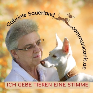 Logo Rund Shaeeni (2) 1